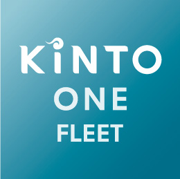 Icono One fleet